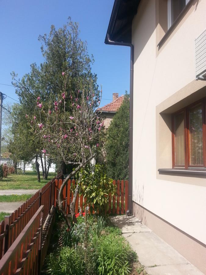 Sweet Dreams Apartment Arandelovac Exterior photo